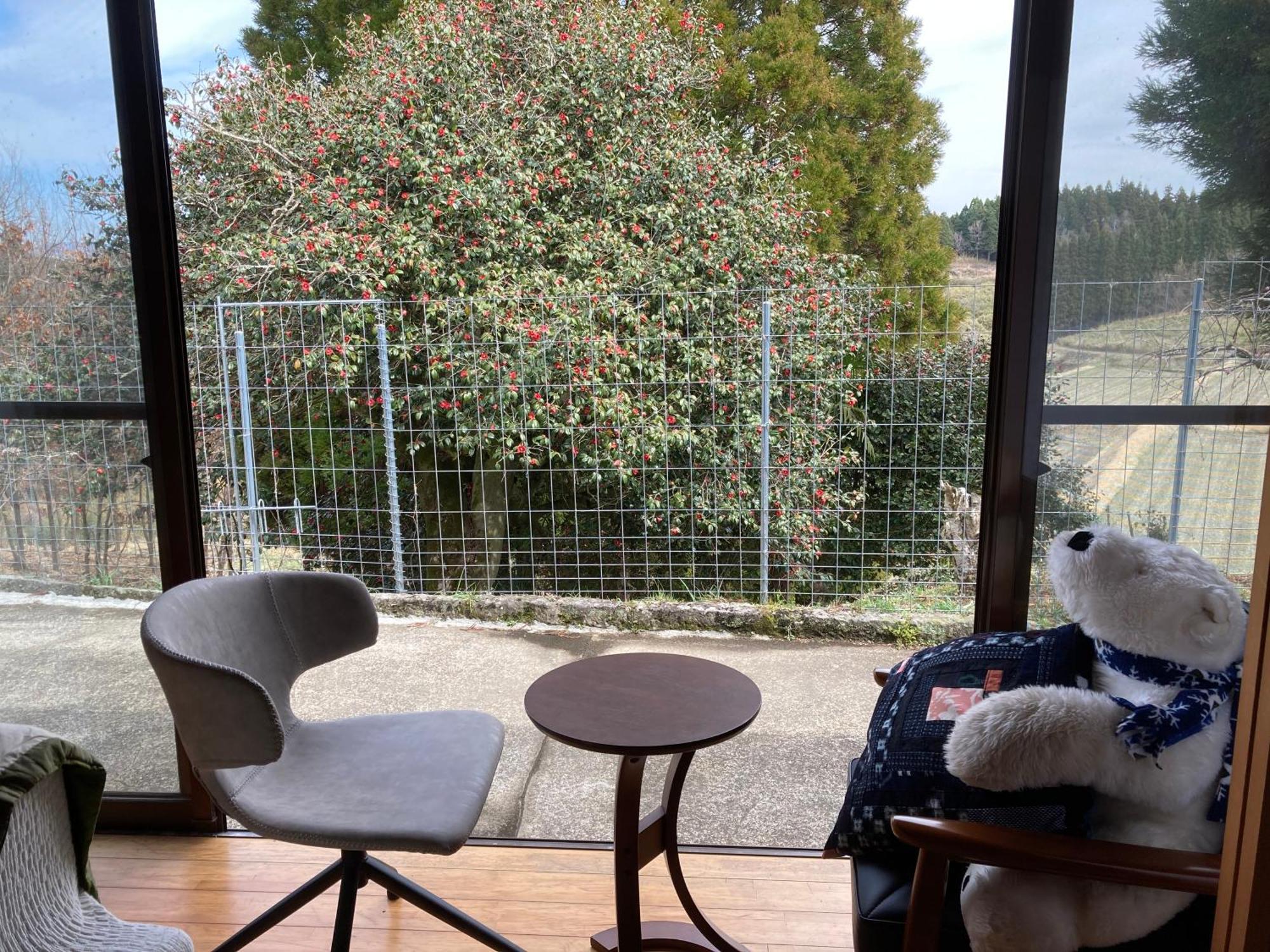 Ferienwohnung 体験型農家民泊「お陽さまと風」 Bungoono Exterior foto